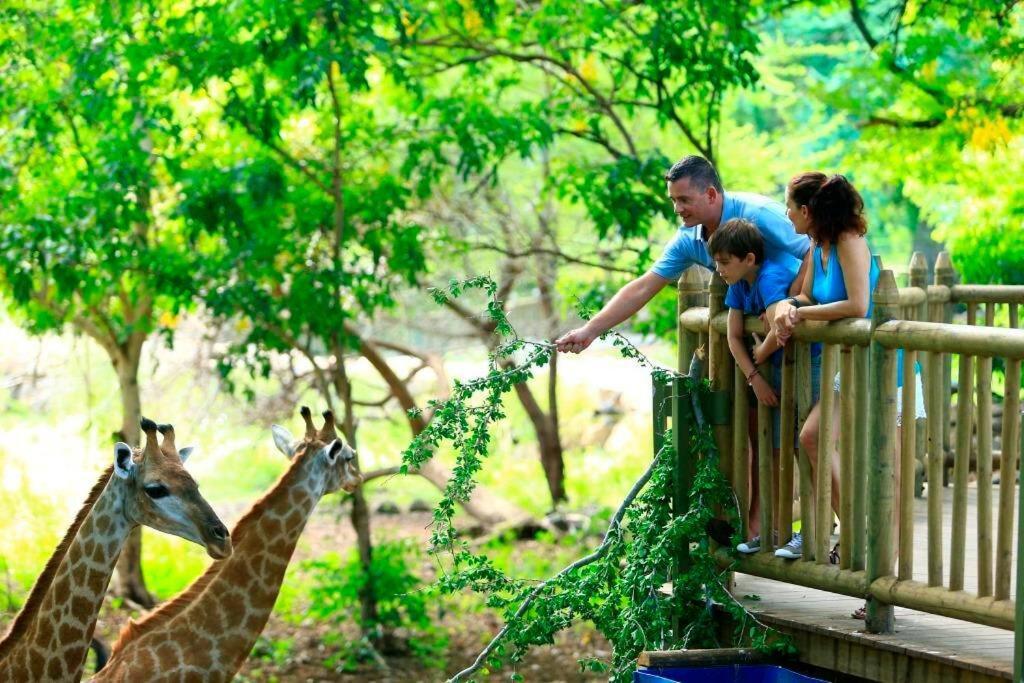 Rivière NoireWozamoyaアパートメント エクステリア 写真